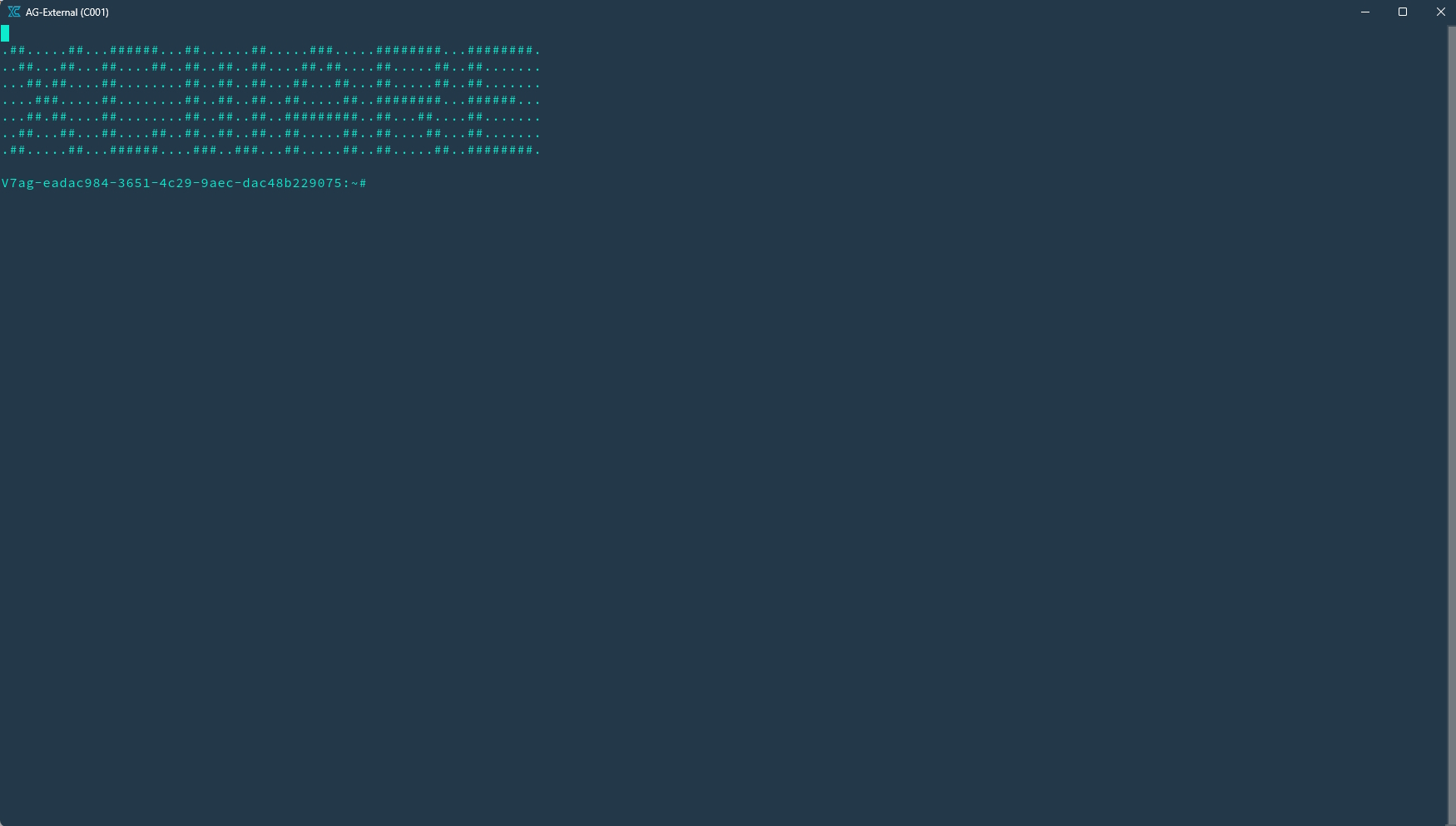 Access Gates Terminal Window