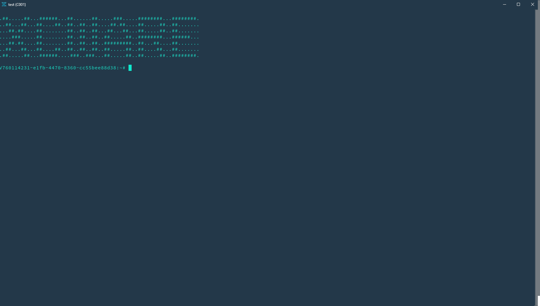 Codespaces Terminal Window